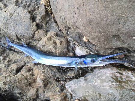 違うねんなぁ…